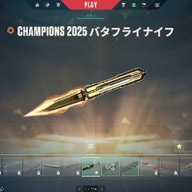 Champion2025バタフライナイフ所持アカ | VALORANT(ヴァロラント)のアカウントデータ、RMTの販売・買取一覧