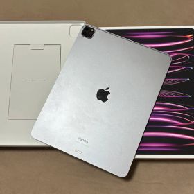 美品 iPad Pro 12.9インチ 第6世代 Wi-Fi 512GB M2