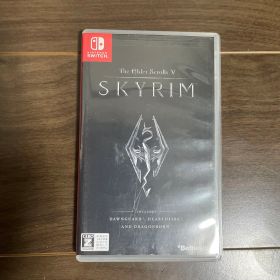 The Elder Scrolls V: Skyrim (Switch)