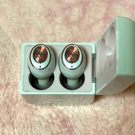 AVIOT TE-D01g トゥルーワイヤレスイヤホン 箱無し