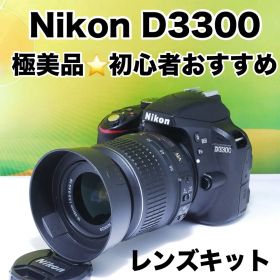極美品✨Nikon D3300 レンズキット 動作良好 初心者おすすめ