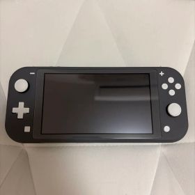 Nintendo Switch Lite グレー