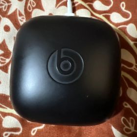 Beats Powerbeats Pro ブラック専用ケース