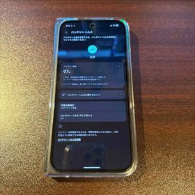 Google Pixel 9 256GB 新品 67,280円 中古 67,280円 | ネット最安値の