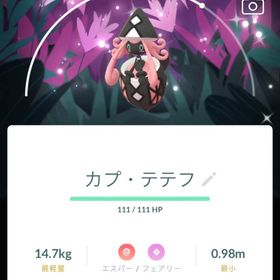 このままさん専用 | ポケコロのアカウントデータ、RMTの販売・買取一覧