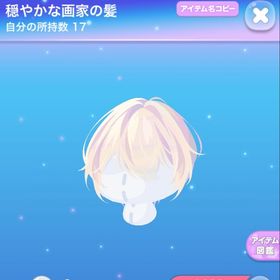 穏やかな画家の髪 | ポケコロのアイテム、RMTの販売・買取一覧