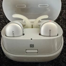 SONY ソニー ワイヤレスイヤホン Bluetooth WF-SP900