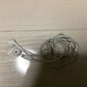 Apple純正 有線イヤフォン EarPods Lightning ライトニング