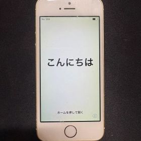 Apple iPhone 5s 64GB