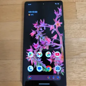 ★Google Pixel 6★Stormy Black 128GB 海外版