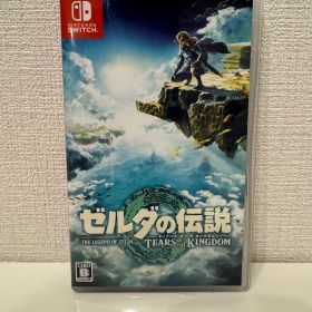 ゼルダの伝説 ティアーズ オブ ザ キングダム