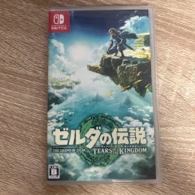 ゼルダの伝説 ティアーズ オブ ザ キングダム