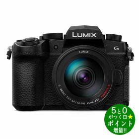 パナソニック カメラ ミラーレス一眼カメラ レンズキット LUMIX DC-G99M2H ブラック Panasonic【転送不可】