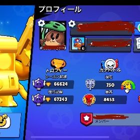 🏆66000 パワー11・スキン超豊富 神垢❣️早い者勝ち | ブロスタ(ブロウルスターズ)のアカウントデータ、RMTの販売・買取一覧