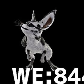 RARE SUPPORT 重量特化トビネズミ | ARK Survival Evolvedのアカウントデータ、RMTの販売・買取一覧