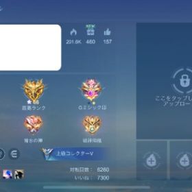 Lv70 BP951254 ダイヤ751 チケット8925 課金アカウント | モバレジェ(モバイルレジェンド)のアカウントデータ、RMTの販売・買取一覧