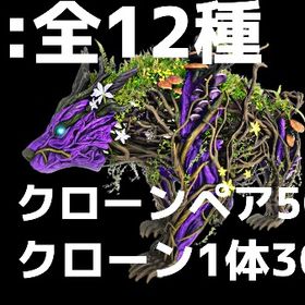 RARE SUPPORT エルダークローLv1 全12種 | ARK Survival Evolvedのアカウントデータ、RMTの販売・買取一覧