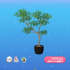 インテリア Lean 一点400円シェフレラ_ラウンド鉢 | ポケコロのアイテム、RMTの販売・買取一覧