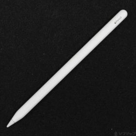 〔中古品〕 Apple Pencil 第2世代 MXN43J／A【348】