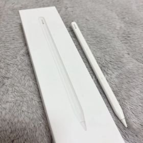 【ジャンク品】Apple Pencil (第2世代)
