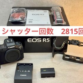 【極美品】Canon EOS R5 本体と付属品 シャッター回数2815回