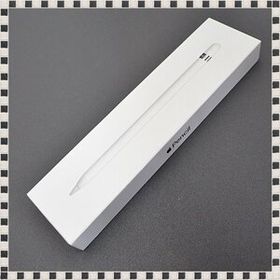 Apple Pencil 第一世代　1ヶ月ほど使用 Apple Pencil 第1世代 新品 3,888円 中古 2,200円 | ネット最安値の