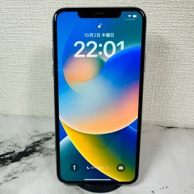 iPhone 11 pro max 256GB (3月20日新品交換) iPhone 11 Pro Max｜価格