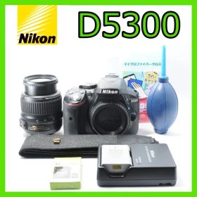 写真をWi-Fiで共有❤️Nikon D5300 セット✨スマホ転送✨️即使える
