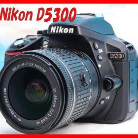 ニコン Nikon D5300⭐️WIFI機能搭載！⭐️一眼レフ⭐️初心者セット