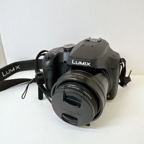 Panasonic LUMIX DC-FZ85
