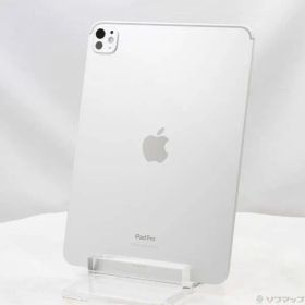 〔中古品〕 iPad Pro 11インチ 第5世代 標準ガラス 1TB シルバー MVVF3J／A Wi-Fi【262】