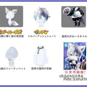 ⁑5点セット♪ SR 白銀に輝く狼の耳尻尾 R シルバーアッシュショート 他 | ポケコロのアイテム、RMTの販売・買取一覧