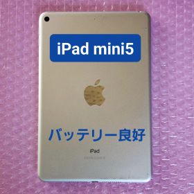 iPad mini 第5世代 バッテリー良好 Wi-Fiモデル 64GB