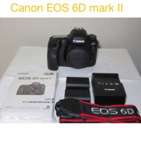 一眼レフカメラ/フルサイズ/Canon EOS 6D Mark II