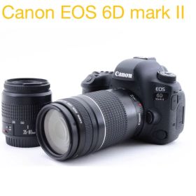 一眼レフカメラCanon EOS 6D mark II標準&望遠レンズセット