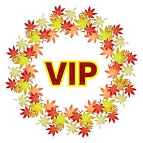 VIP🏁チップ４億1000万以上+生産1780万以上🎀神チケ20枚🎀 | 東京カジノプロジェクトのアカウントデータ、RMTの販売・買取一覧