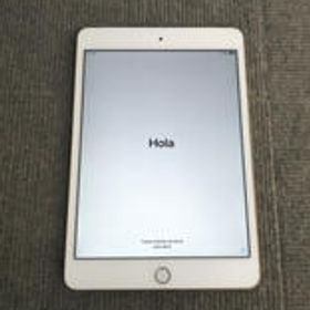 IPAD MINI 4 MNWG2J/A APPLE
