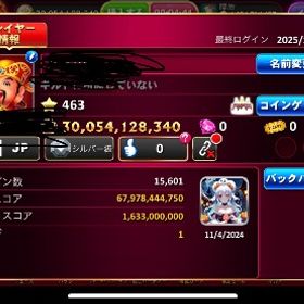 300億垢 シルバー | ゴールデンホイヤーのアカウントデータ、RMTの販売・買取一覧