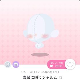 素敵に瞬くシャルム 2点 双子分 | ポケコロツイン(ポケツイ)のアカウントデータ、RMTの販売・買取一覧