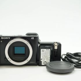 C030011-1)SONY α6000 ミラーレス一眼 ボディー