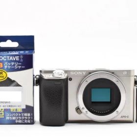 【シャッター回数249回！】SONY ソニー α6000 ボディ シルバー ILCE-6000 [美品] #A