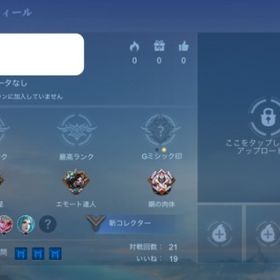 初期アカウント Lv17 | モバレジェ(モバイルレジェンド)のアカウントデータ、RMTの販売・買取一覧