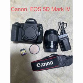 キヤノン(Canon)のCanon EOS 5D Mark IV /Canon EF 80-200mm(デジタル一眼)