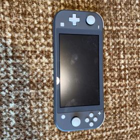Nintendo Switch Lite グレー 本体