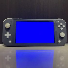 Nintendo Switch Lite グレー ジャンク品