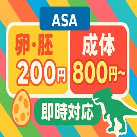 ASA(公式PVE) 卵/胚200円 成体800円～ | ARK Survival Evolvedのアカウントデータ、RMTの販売・買取一覧