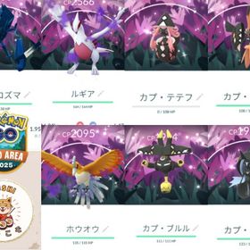 (青みかん様)色違いネクロズマ(ワイルドアレア背景) | ポケモンGOのアカウントデータ、RMTの販売・買取一覧
