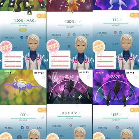 TL70 ジガルデ・パーフェクト・フォルム100％、ホウオウ100％ | ポケモンGOのアカウントデータ、RMTの販売・買取一覧