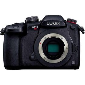 パナソニック Panasonic ミラーレス一眼カメラ(ボディ単体)ブラック LUMIX DC-GH5S ボディ