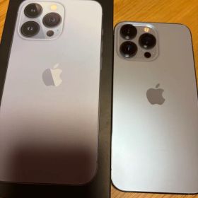 Apple iPhone 13 Pro シエラブルー本体➕ヴィトン&リモワケース